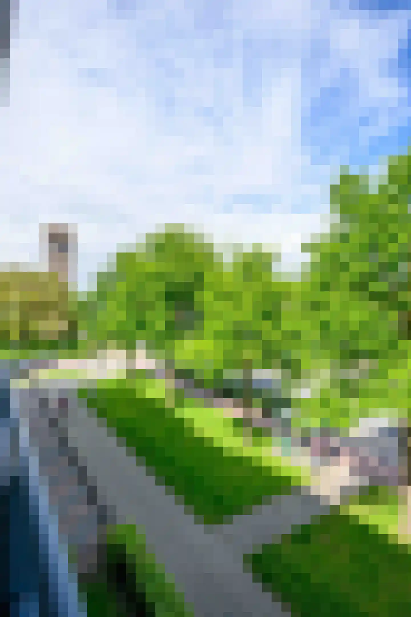 Nagelerstraat 74 Emmeloord thumbnail 33