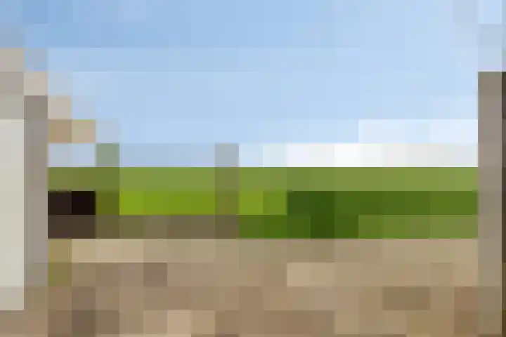 Nagelerweg 11 B Emmeloord thumbnail 32