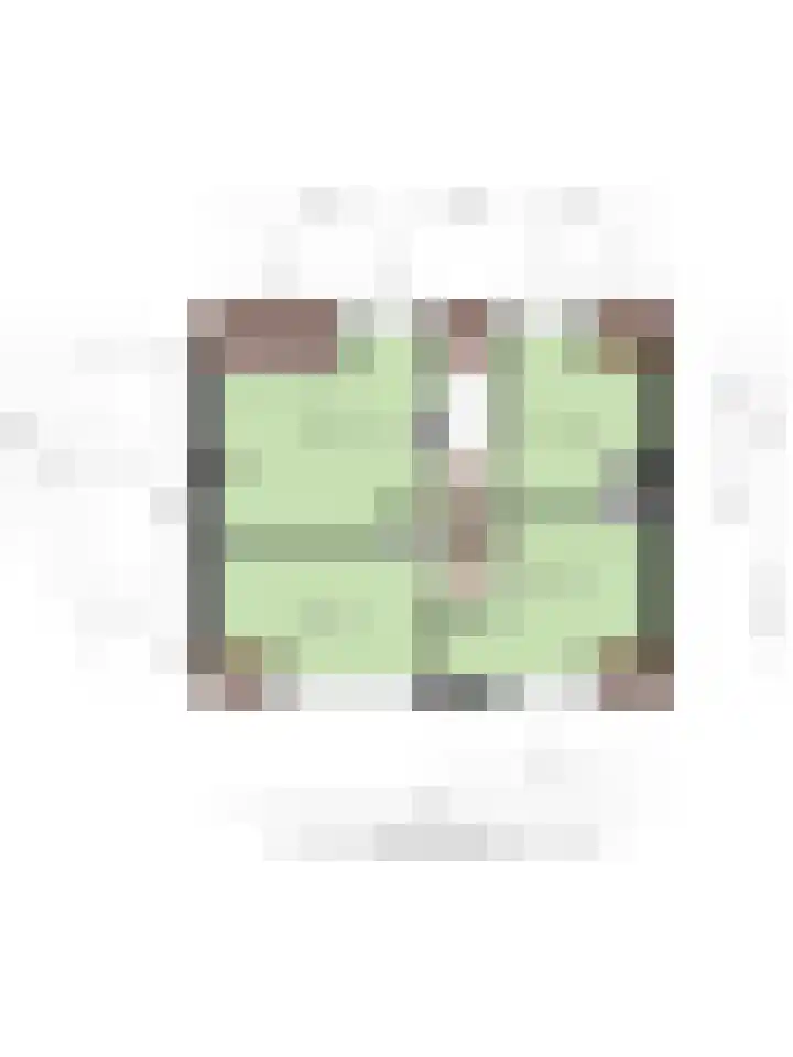 Nagelerweg 11 B Emmeloord thumbnail 37