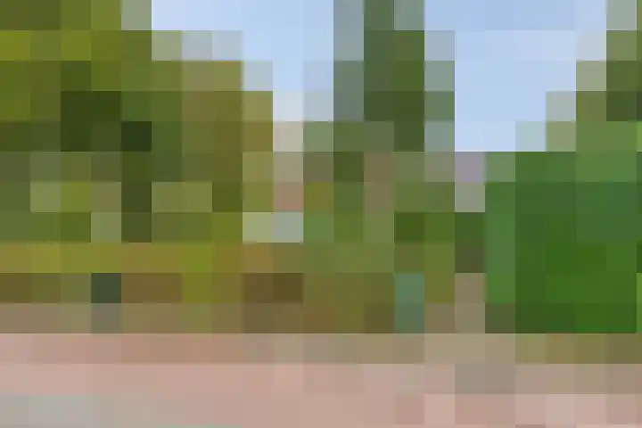 Nagelerweg 11 B Emmeloord thumbnail 6