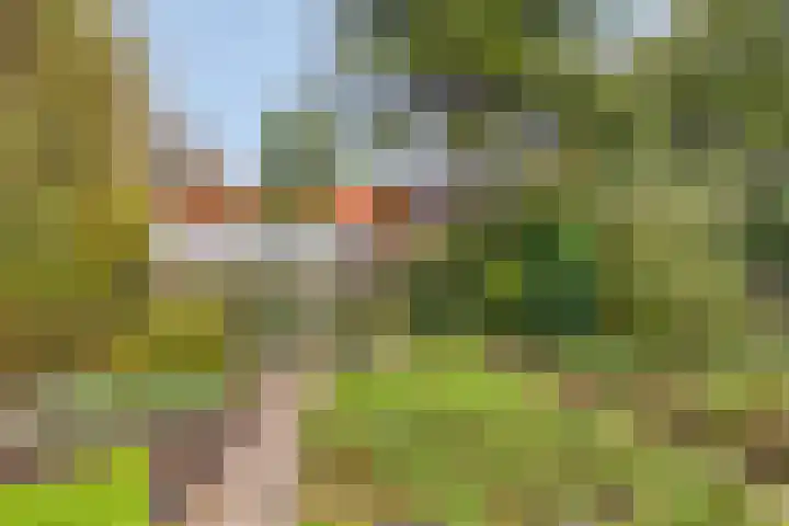 Nagelerweg 11 B Emmeloord thumbnail 7
