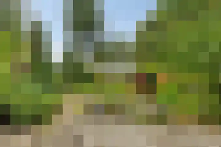 Nagelerweg 11 B Emmeloord thumbnail 9
