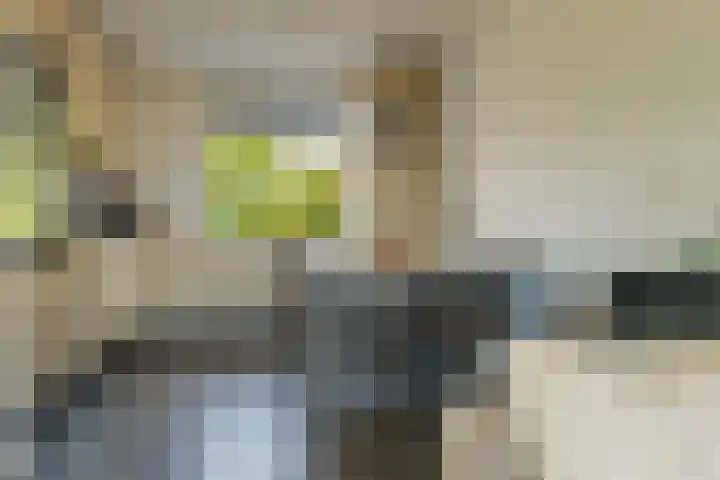 Nageljongen 10 Sappemeer thumbnail 10