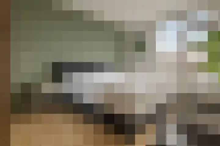 Nageljongen 10 Sappemeer thumbnail 13