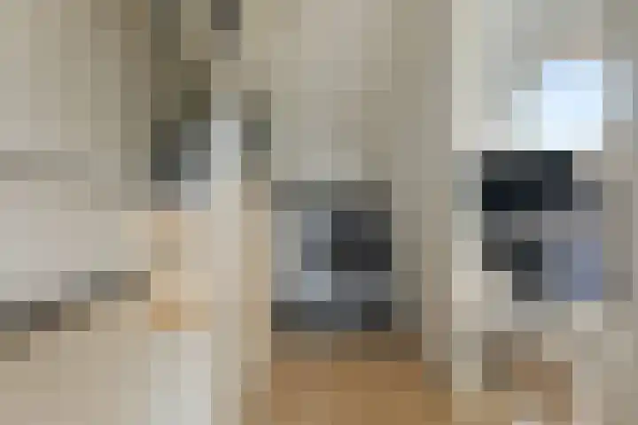Nageljongen 10 Sappemeer thumbnail 18