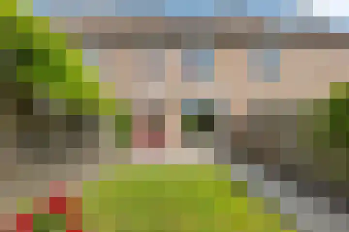 Nageljongen 10 Sappemeer thumbnail 20