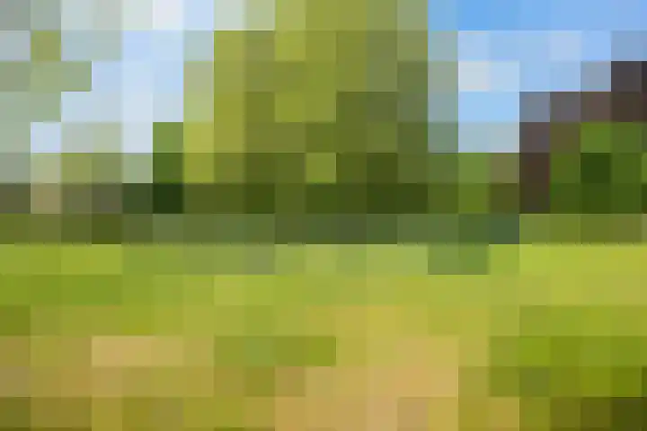 Nageljongen 10 Sappemeer thumbnail 25