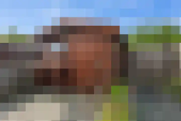 Nageljongen 24 Sappemeer thumbnail 24