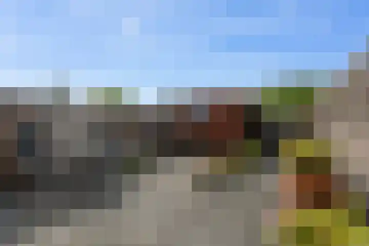 Nageljongen 24 Sappemeer thumbnail 5