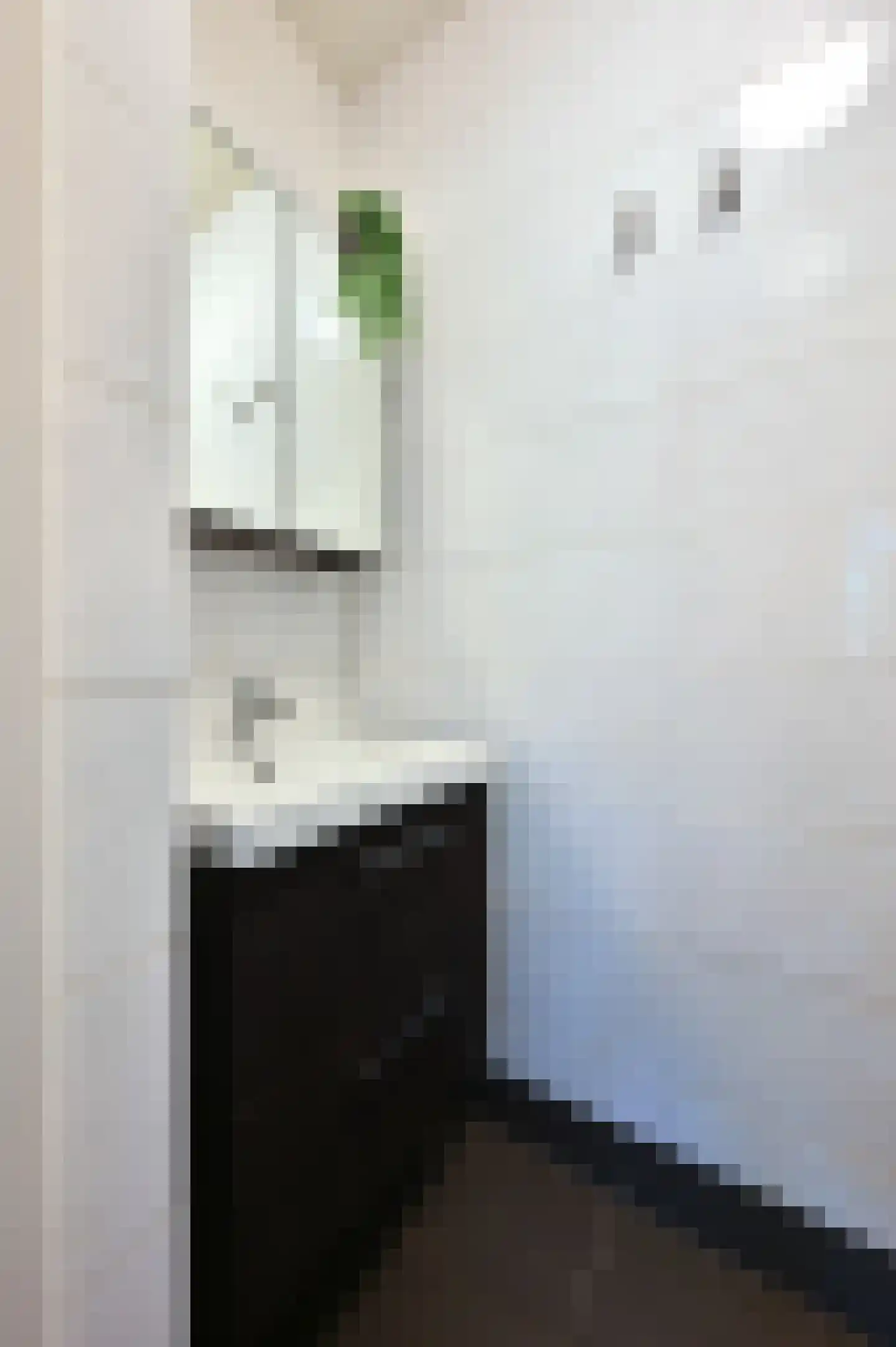 Nageljongenstraat 67 Amsterdam thumbnail 17