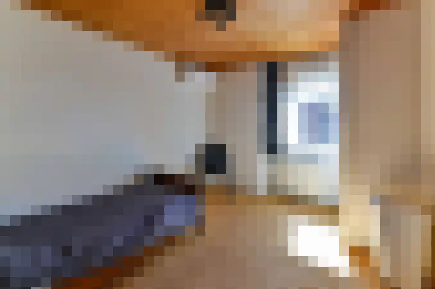 Nagelkampweg 2 Venlo thumbnail 9