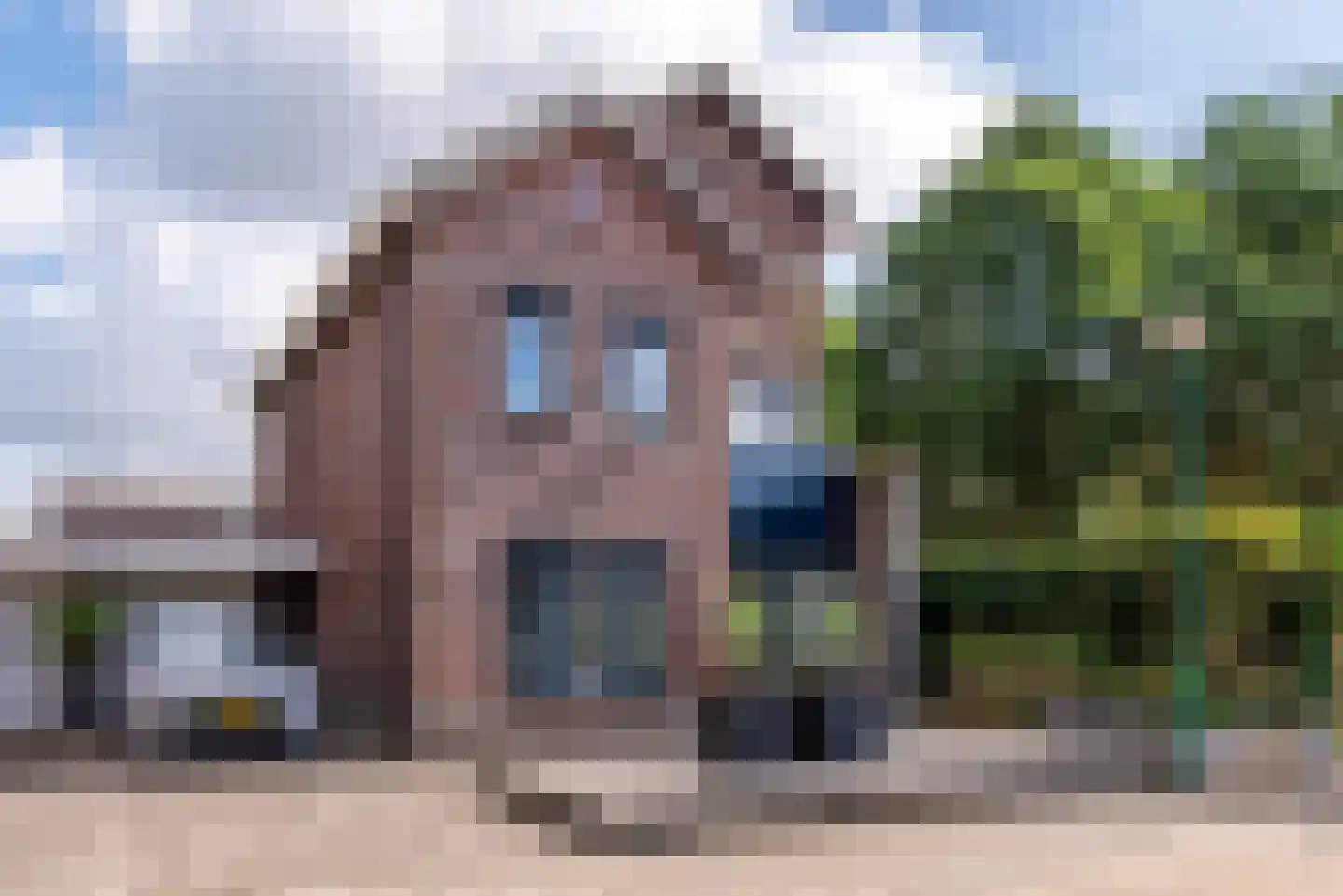 Nagelkruid 23 Veenendaal