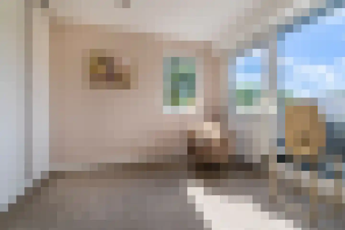 Nagelkruid 23 Veenendaal thumbnail 28