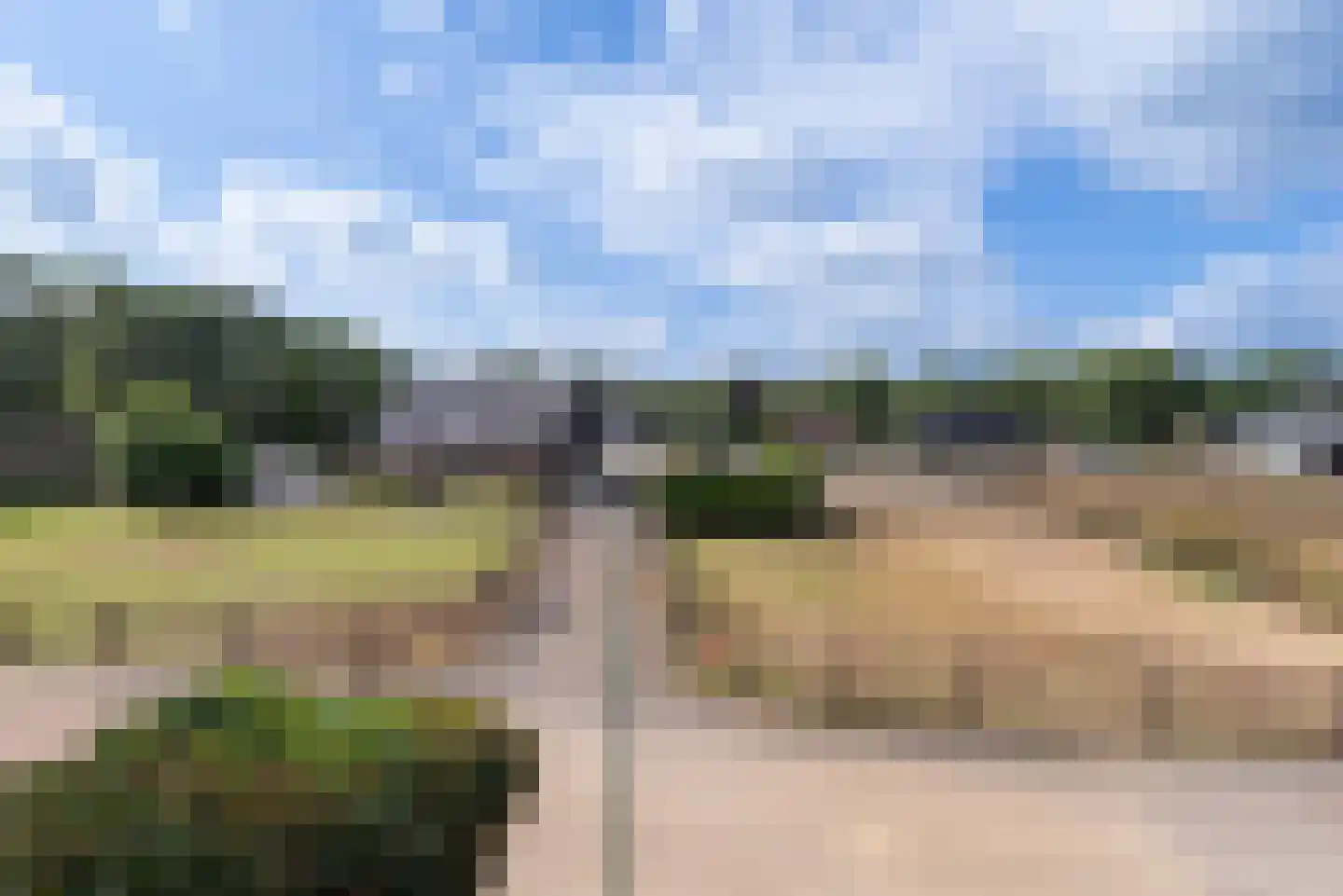 Nagelkruid 23 Veenendaal thumbnail 33