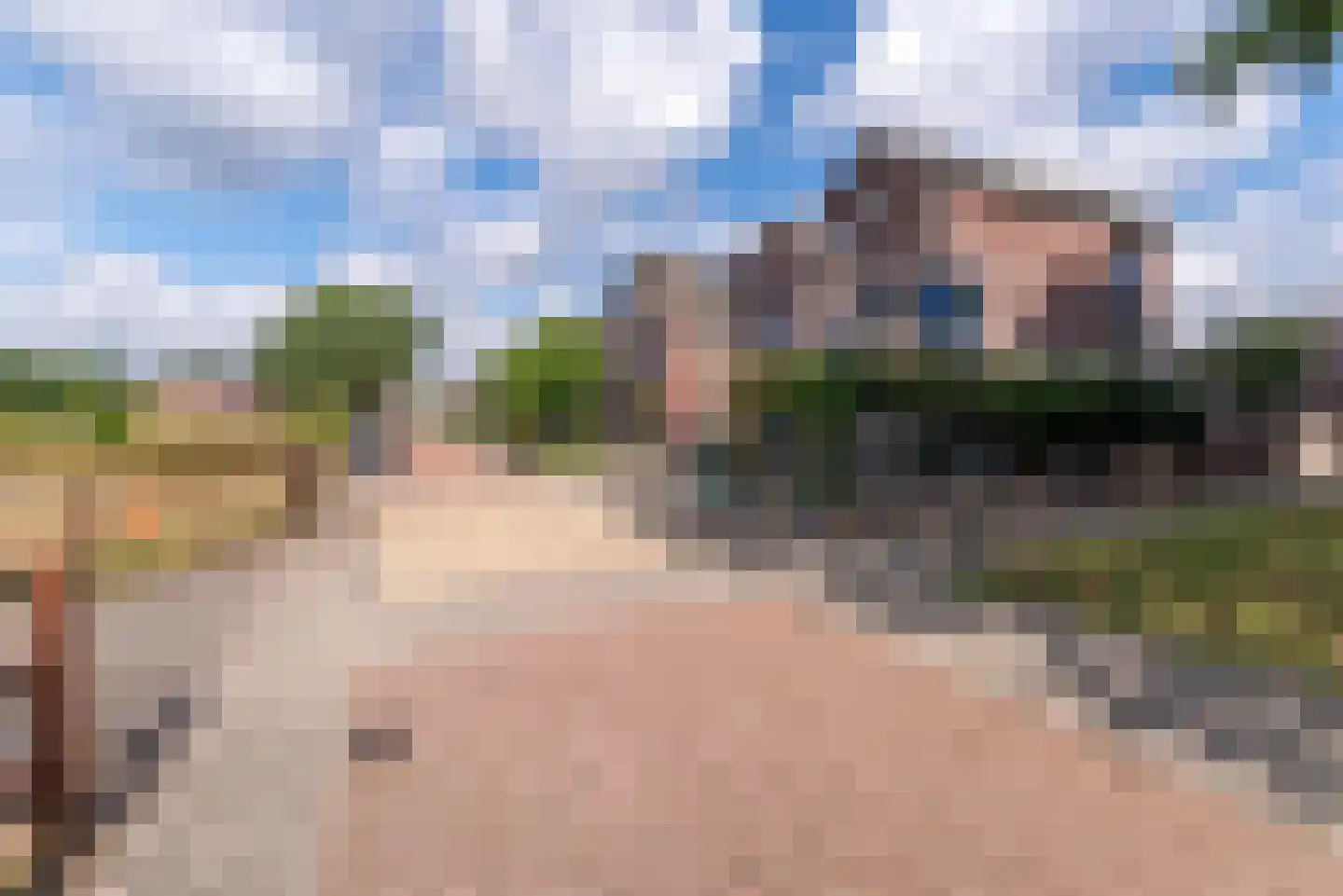 Nagelkruid 23 Veenendaal thumbnail 5