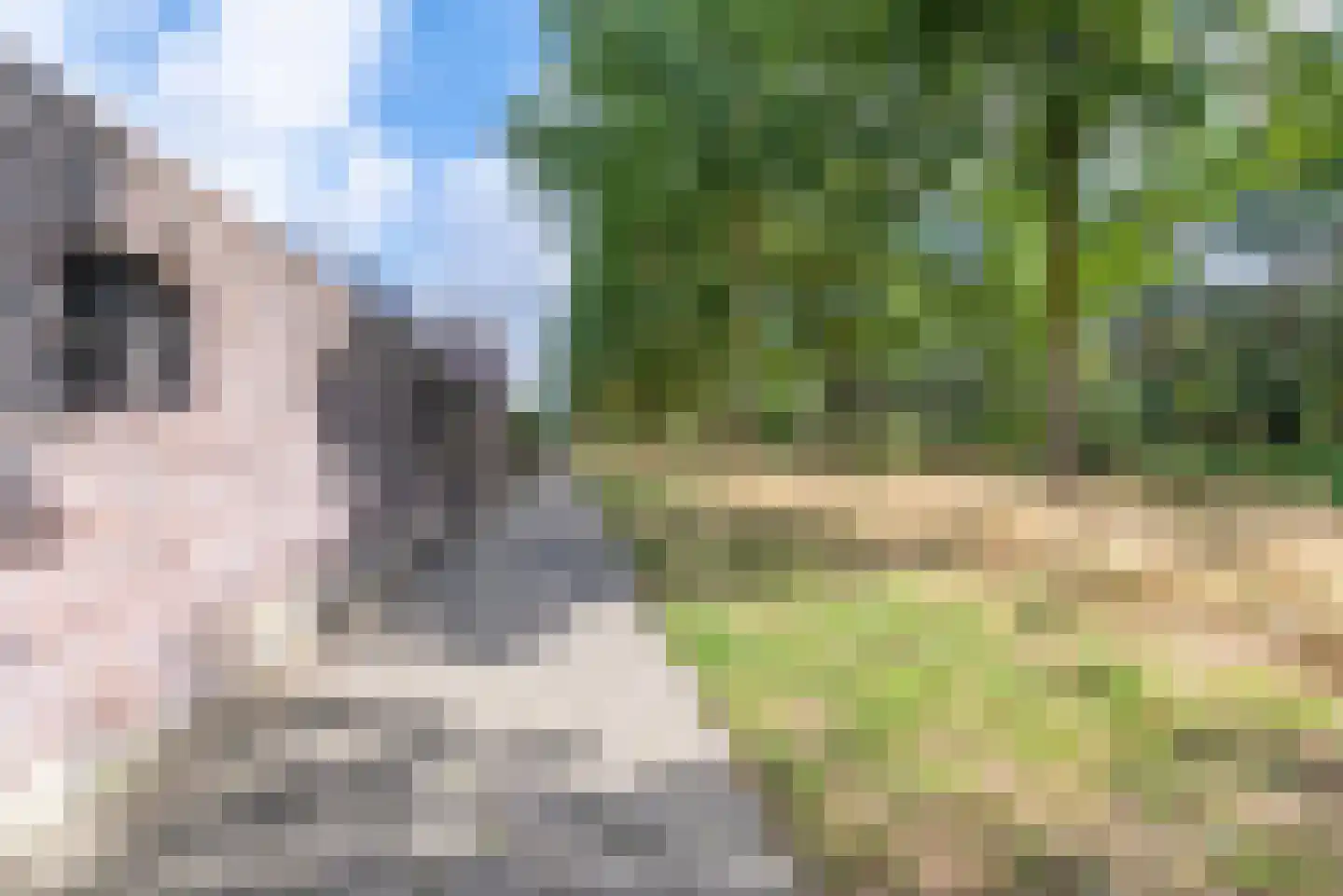 Nagelkruid 23 Veenendaal thumbnail 56