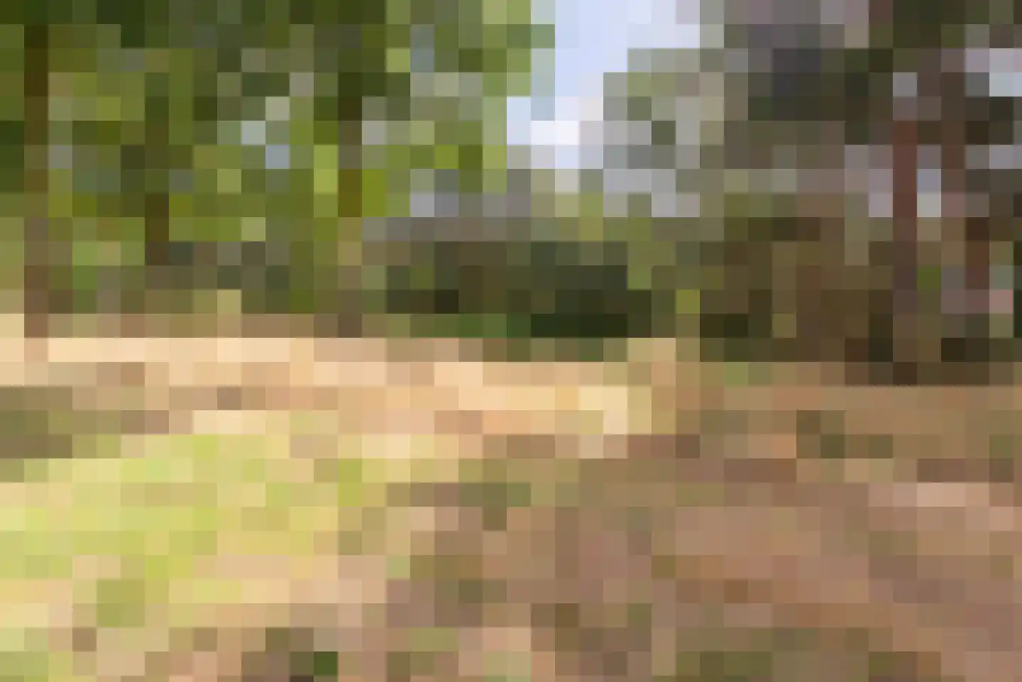 Nagelkruid 23 Veenendaal thumbnail 57