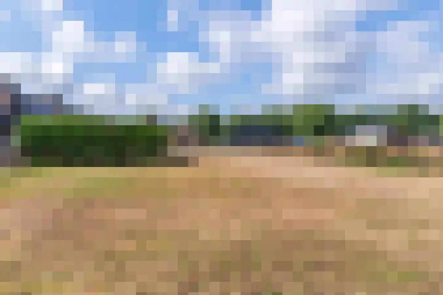 Nagelkruid 23 Veenendaal thumbnail 58
