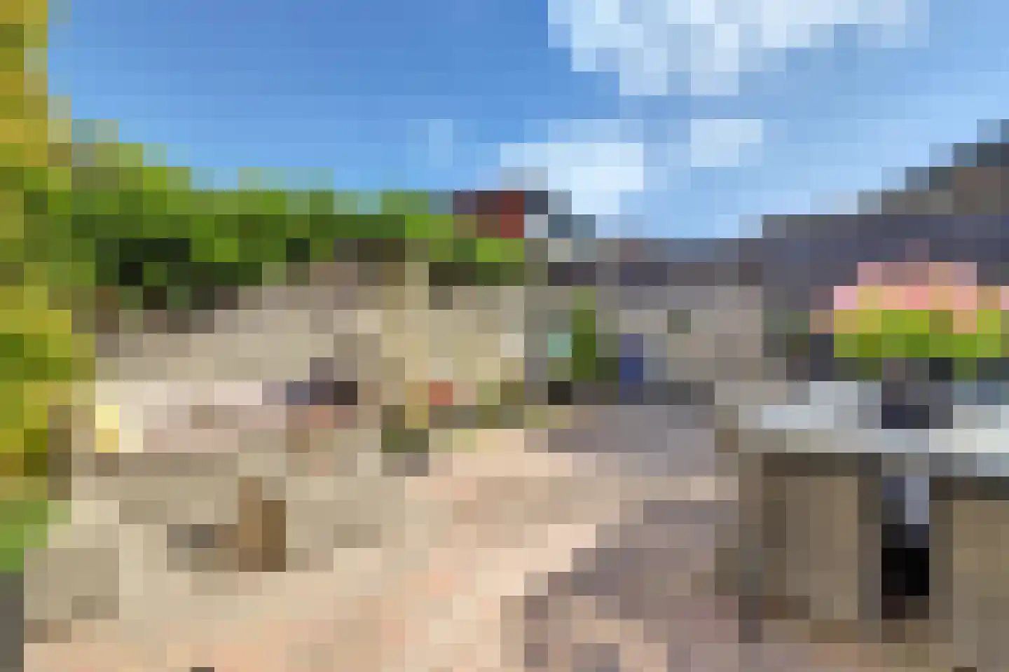 Nagelkruid 3 Amersfoort thumbnail 23