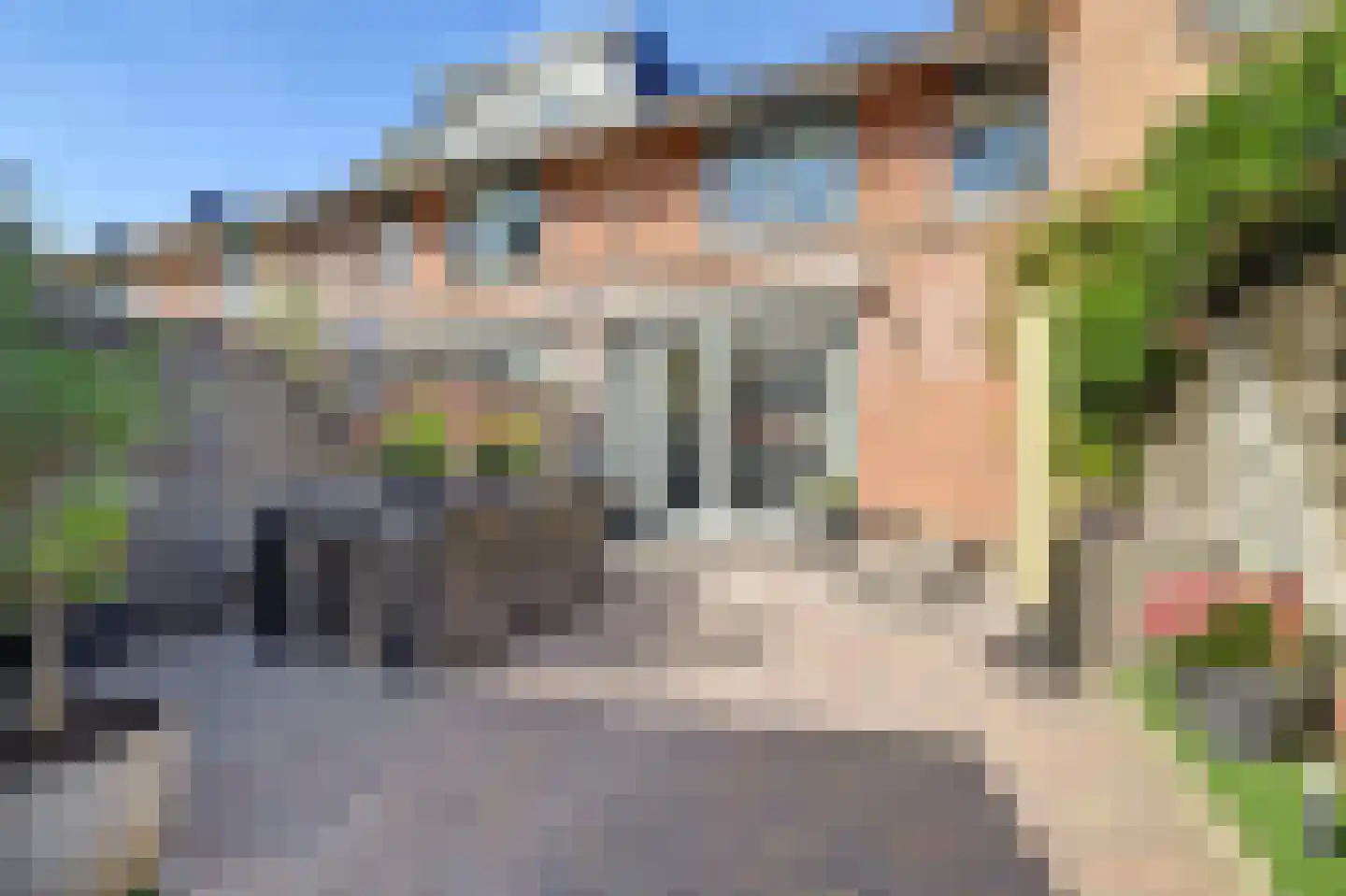 Nagelkruid 3 Amersfoort thumbnail 24