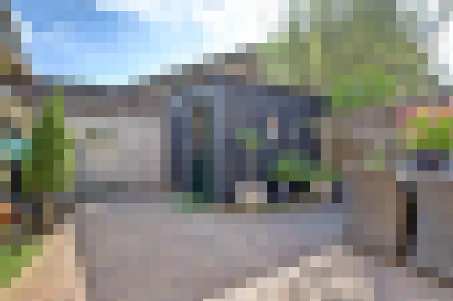 Nagelkruid 3 Amersfoort thumbnail 25