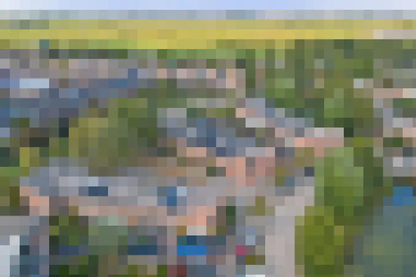 Nagelkruid 3 Amersfoort thumbnail 30