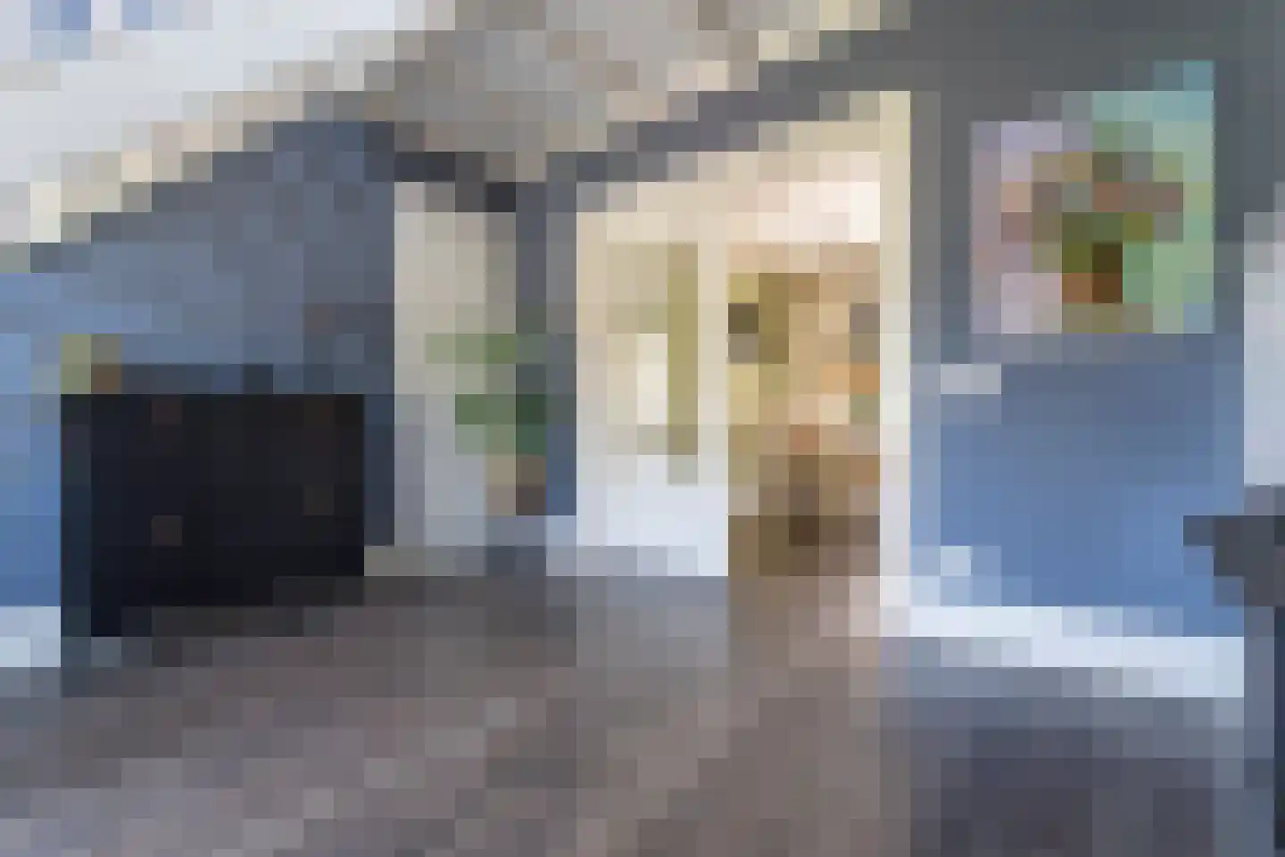 Nagelkruid 30 Rhenen thumbnail 11