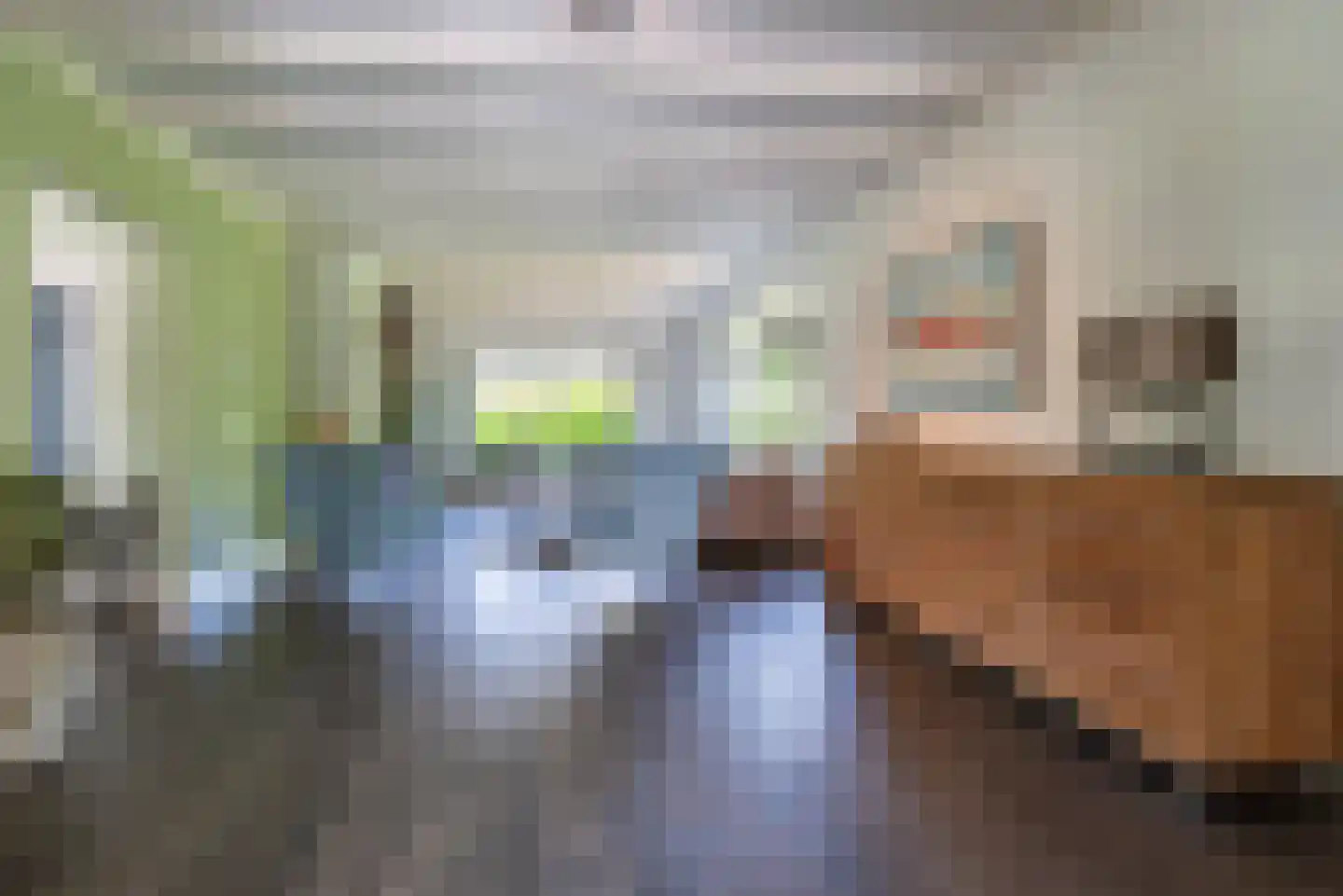 Nagelkruid 30 Rhenen thumbnail 15