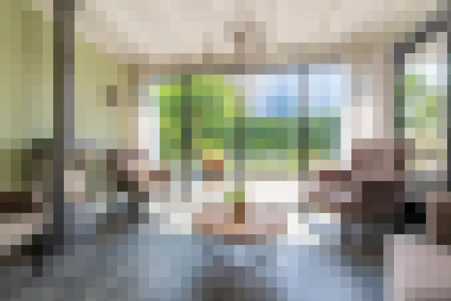 Nagelkruid 30 Rhenen thumbnail 19
