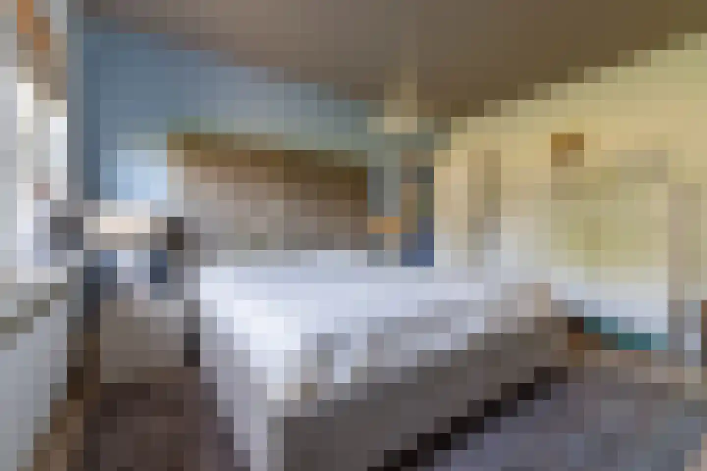 Nagelkruid 30 Rhenen thumbnail 32