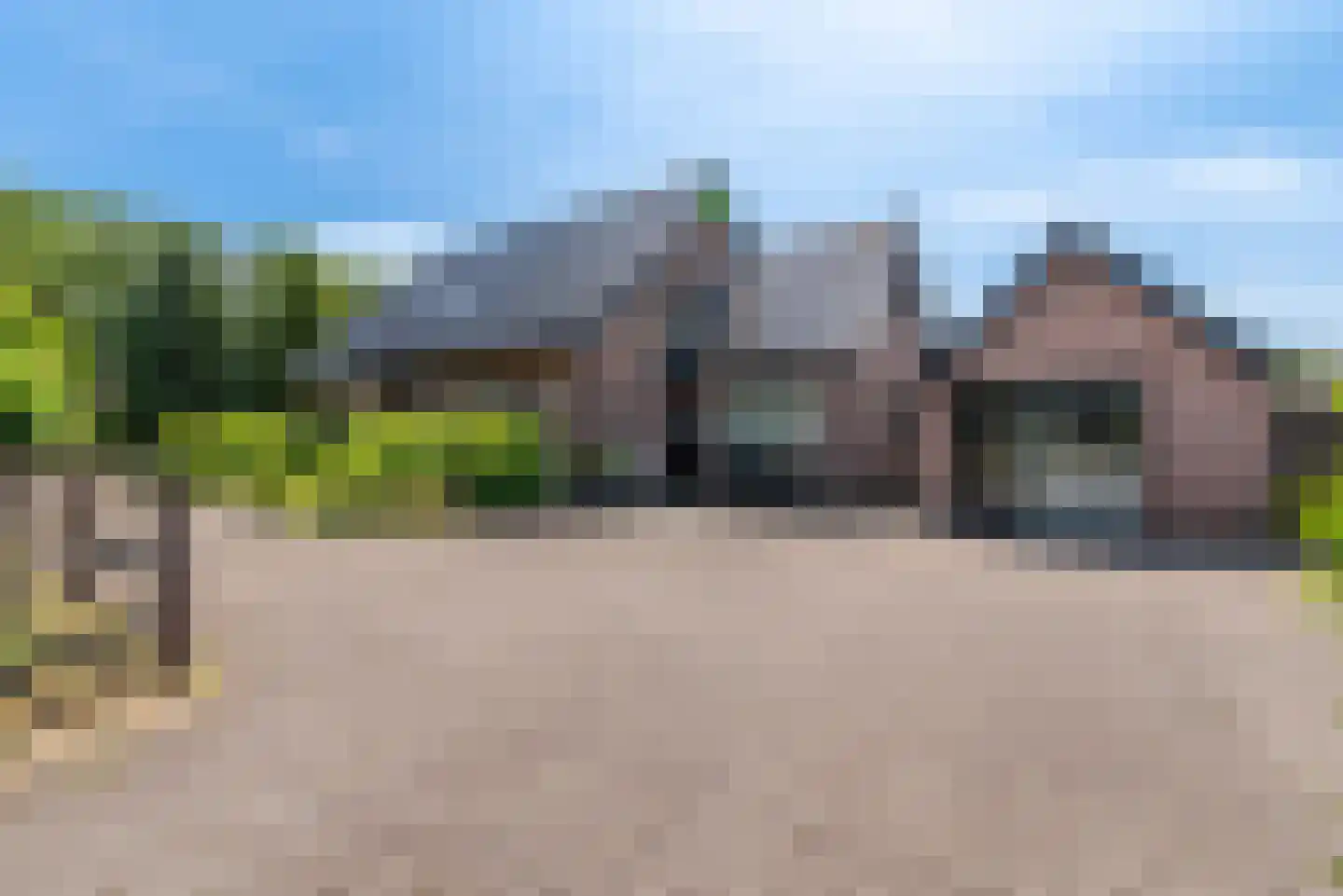 Nagelkruid 30 Rhenen thumbnail 5