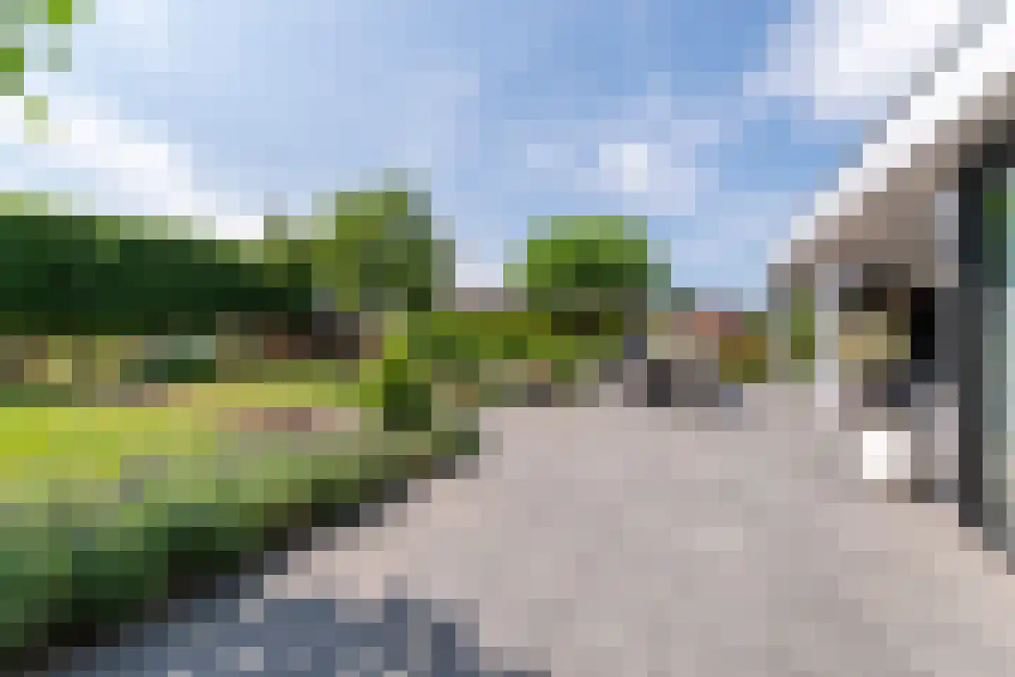 Nagelkruid 30 Rhenen thumbnail 50