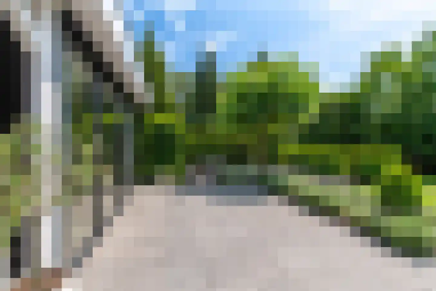 Nagelkruid 30 Rhenen thumbnail 51