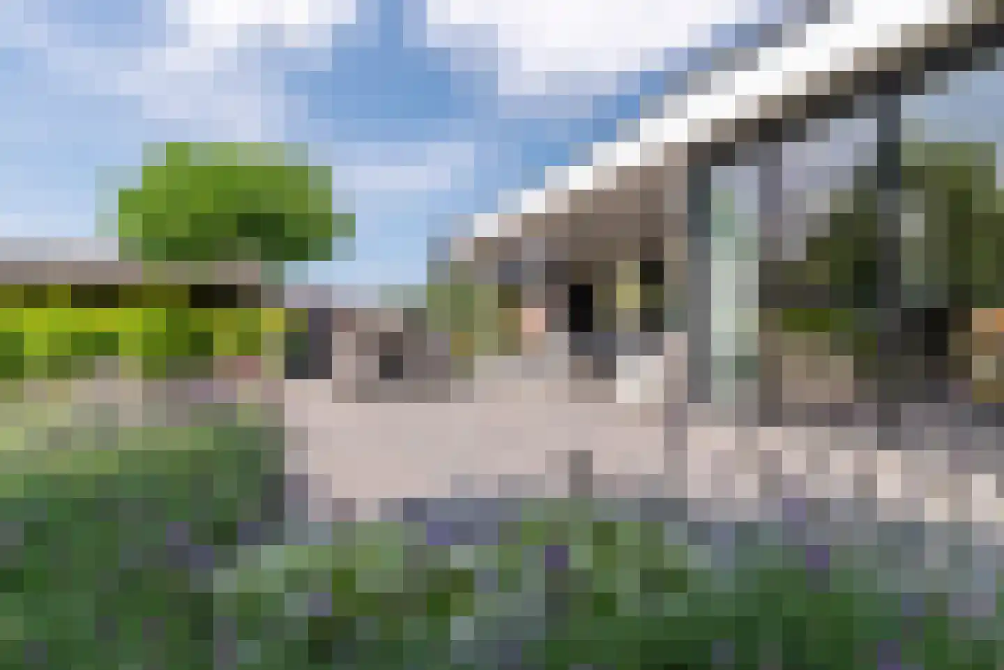 Nagelkruid 30 Rhenen thumbnail 52