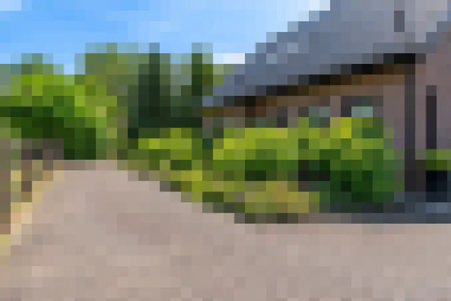 Nagelkruid 30 Rhenen thumbnail 6