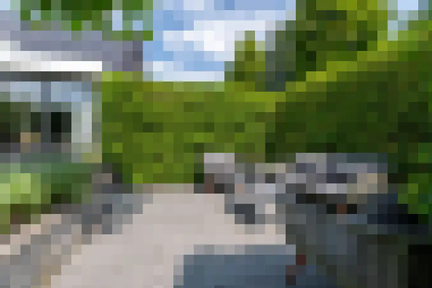 Nagelkruid 30 Rhenen thumbnail 61