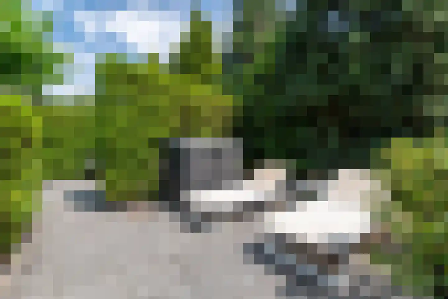 Nagelkruid 30 Rhenen thumbnail 62