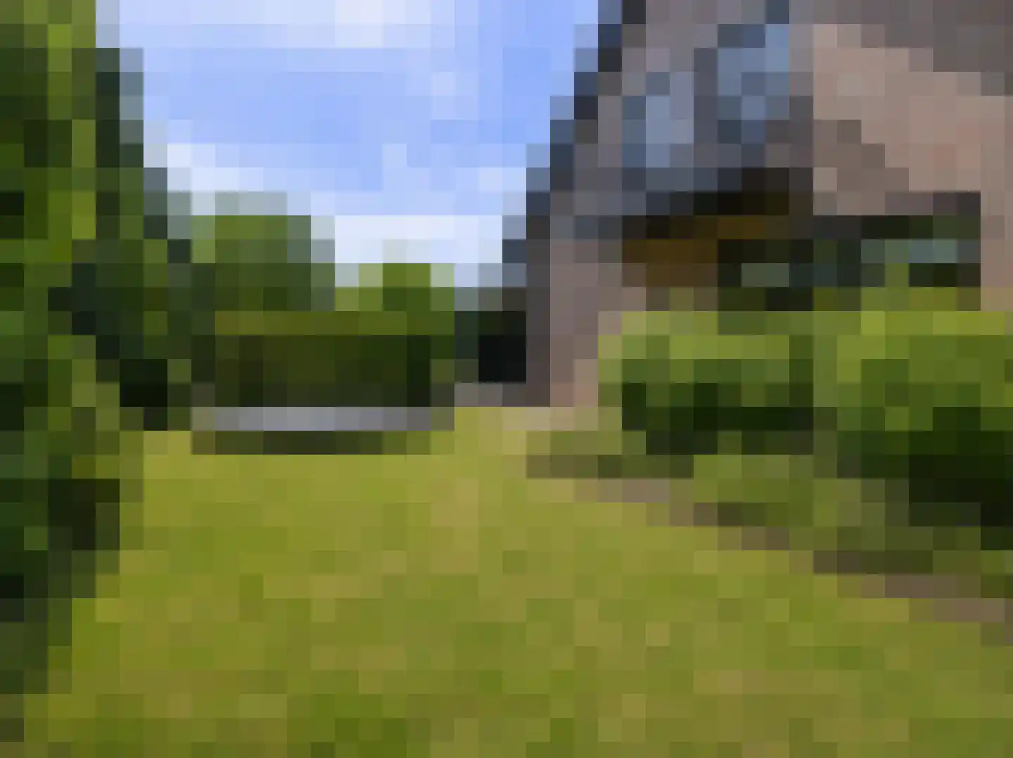 Nagelkruid 30 Rhenen thumbnail 63