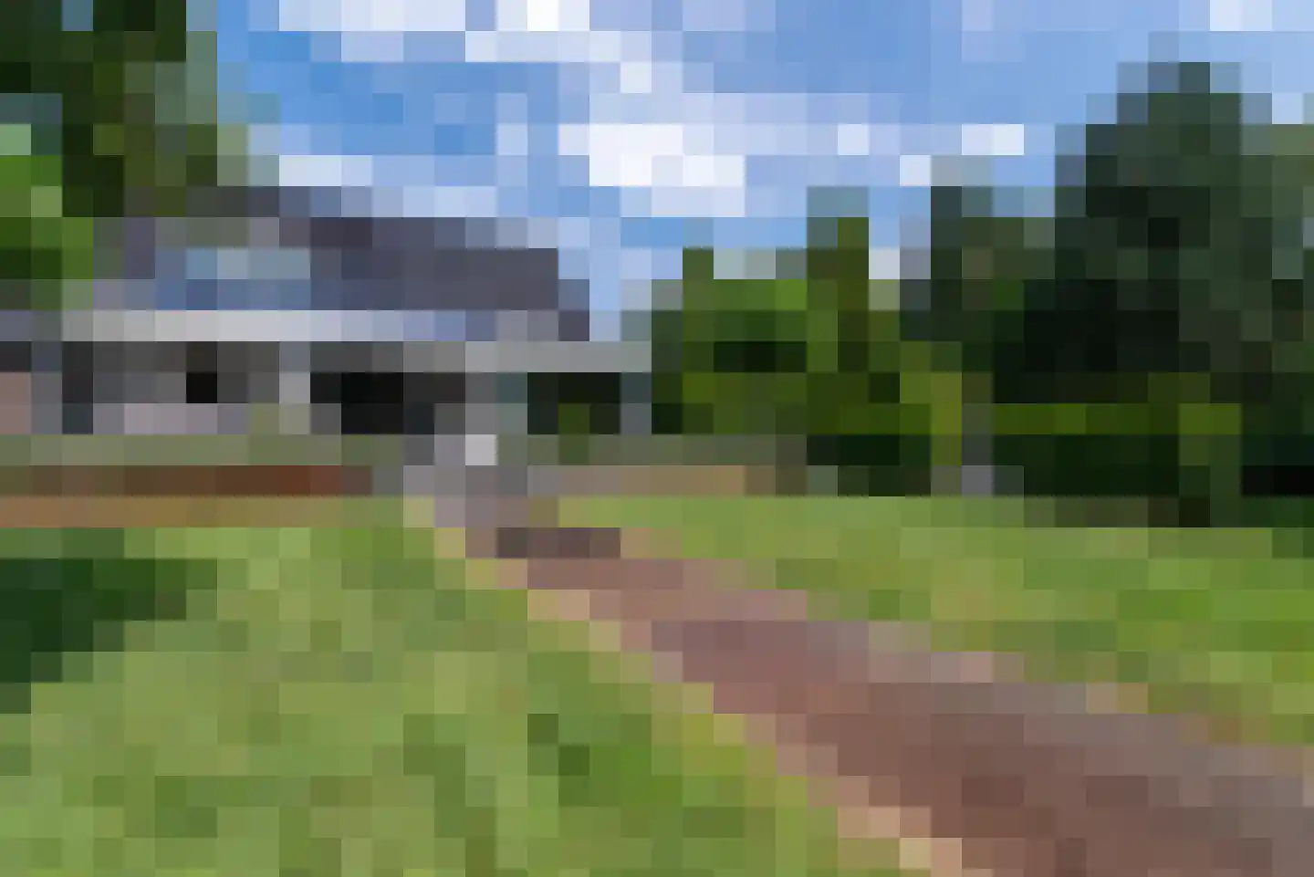 Nagelkruid 30 Rhenen thumbnail 65