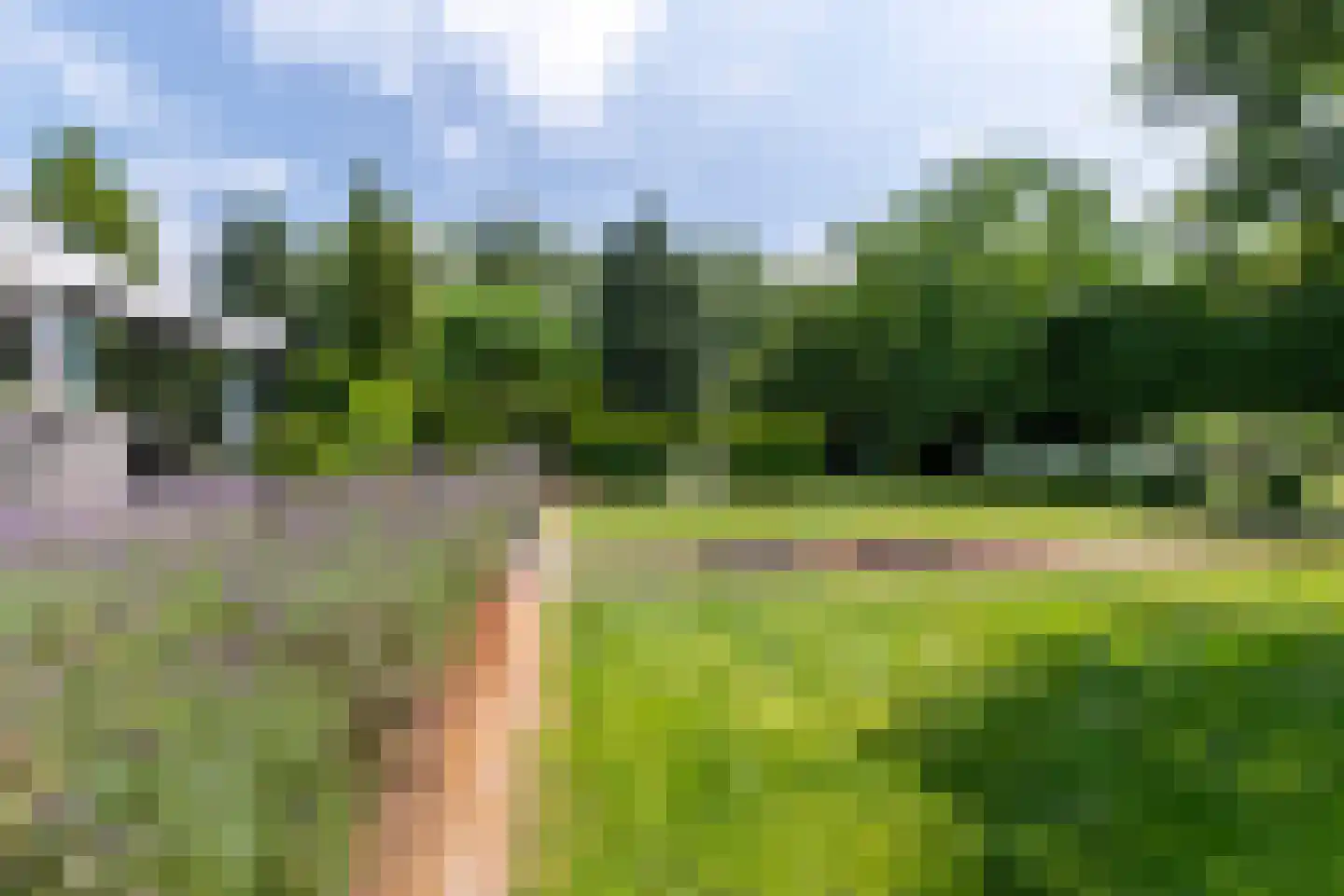 Nagelkruid 30 Rhenen thumbnail 67