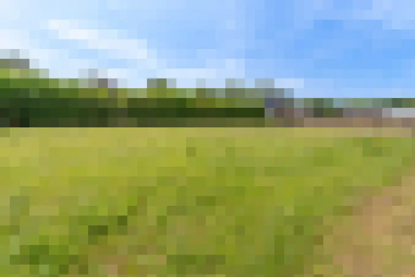 Nagelkruid 30 Rhenen thumbnail 69
