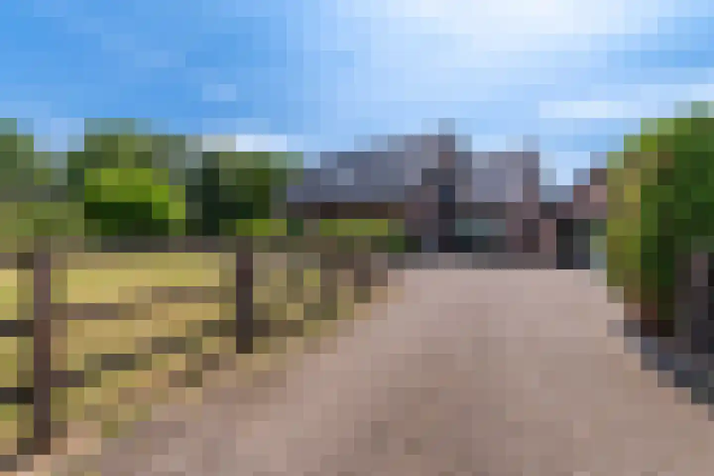 Nagelkruid 30 Rhenen thumbnail 7