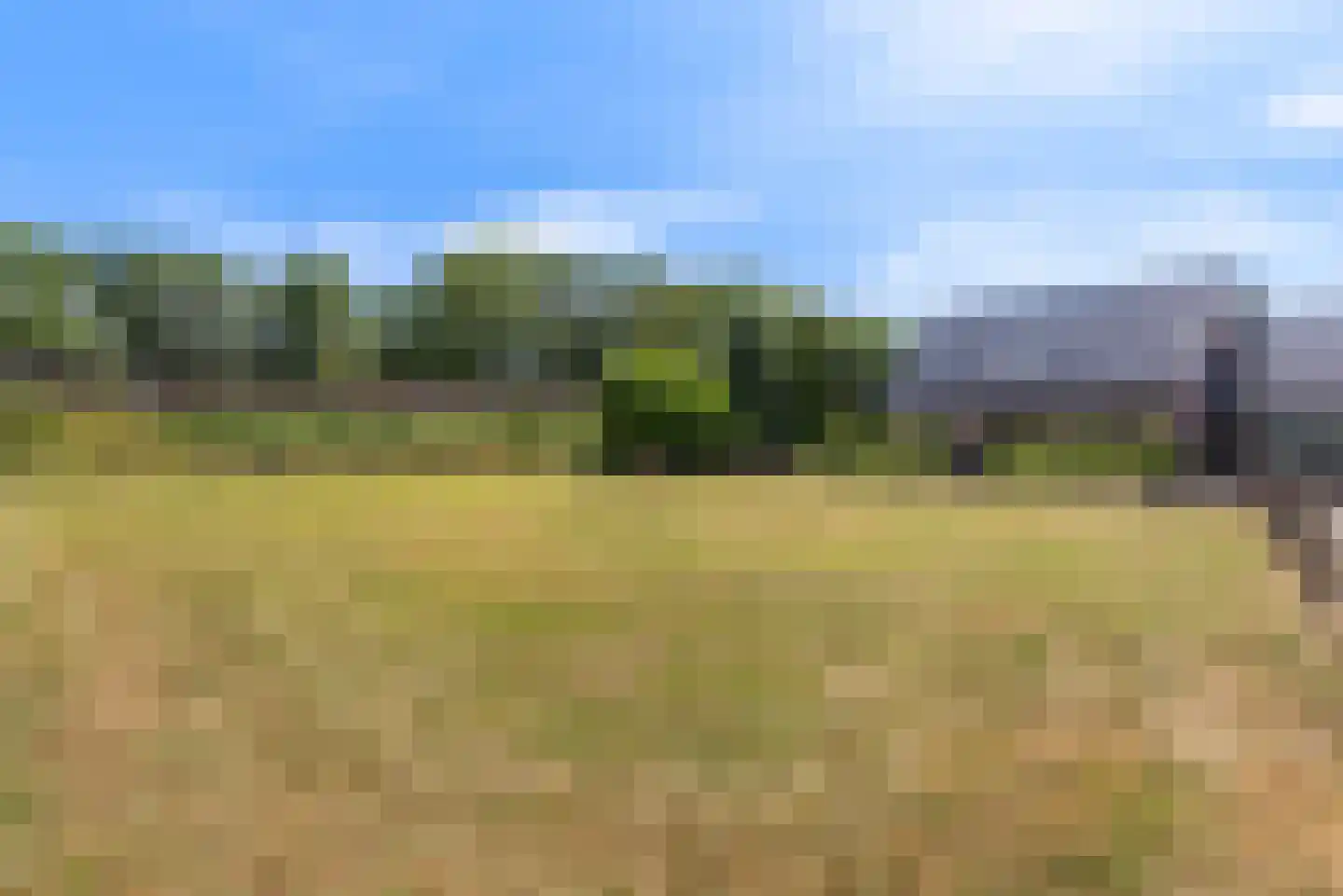 Nagelkruid 30 Rhenen thumbnail 72
