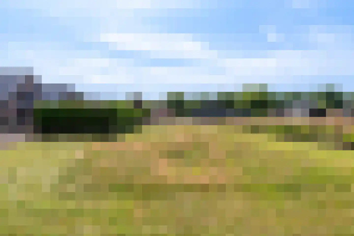 Nagelkruid 30 Rhenen thumbnail 73