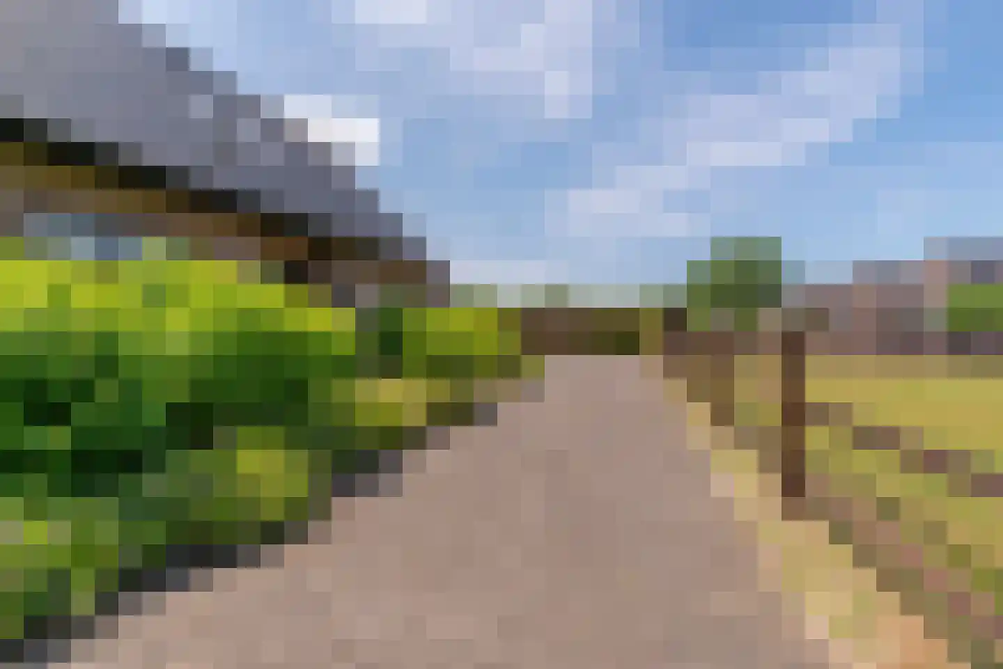 Nagelkruid 30 Rhenen thumbnail 74