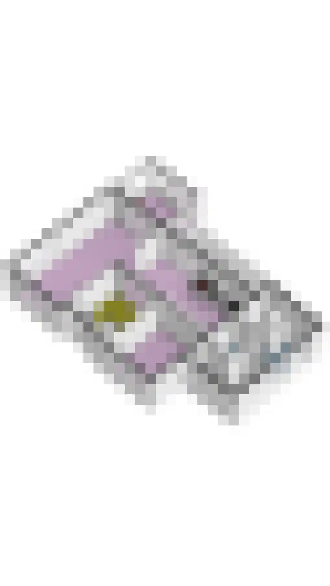 Nagelkruid 30 Rhenen thumbnail 78
