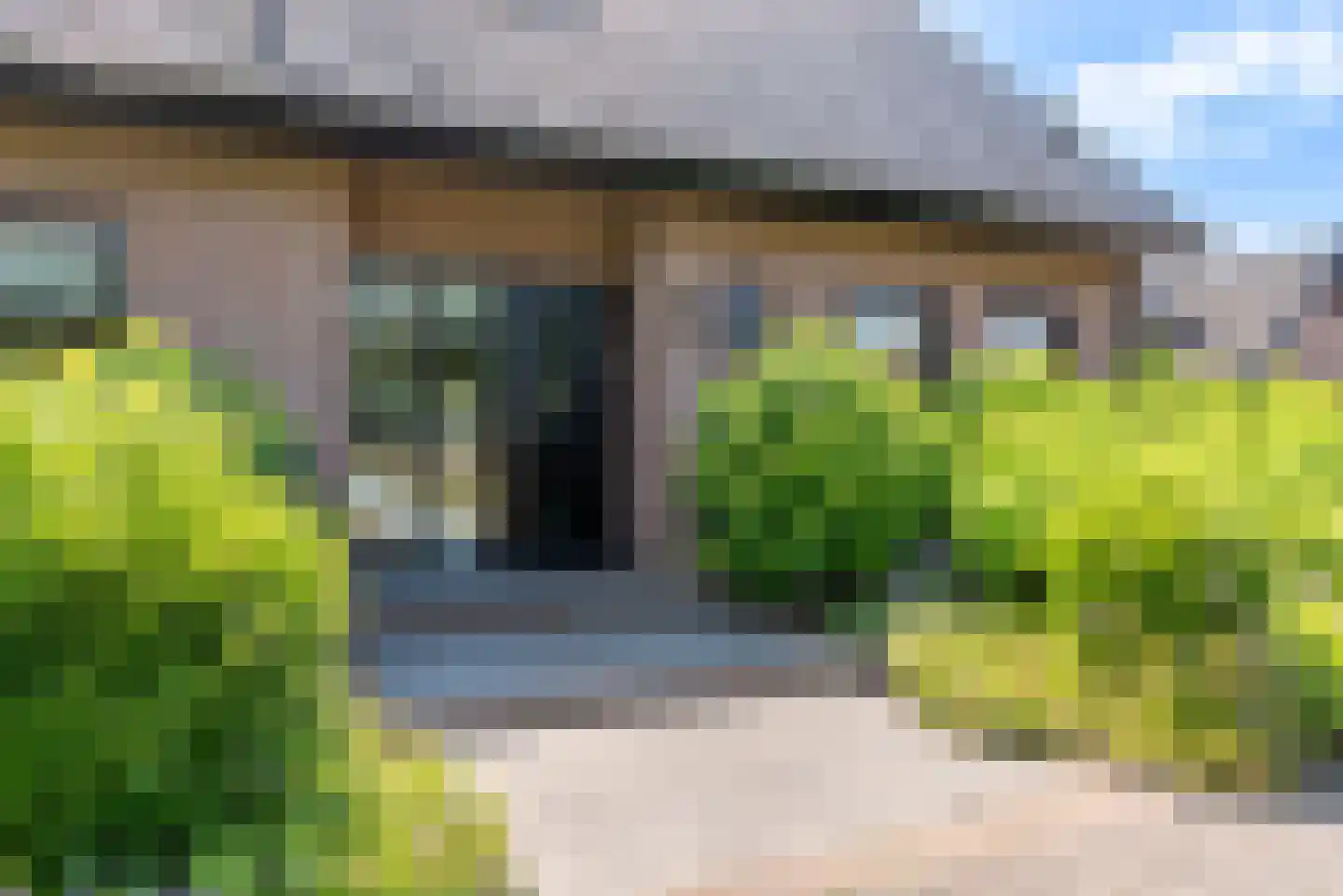 Nagelkruid 30 Rhenen thumbnail 8