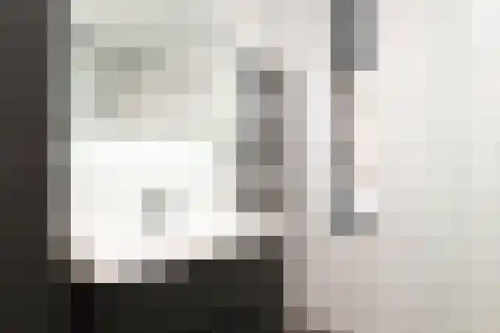 Nagelkruid 4 Amersfoort thumbnail 17