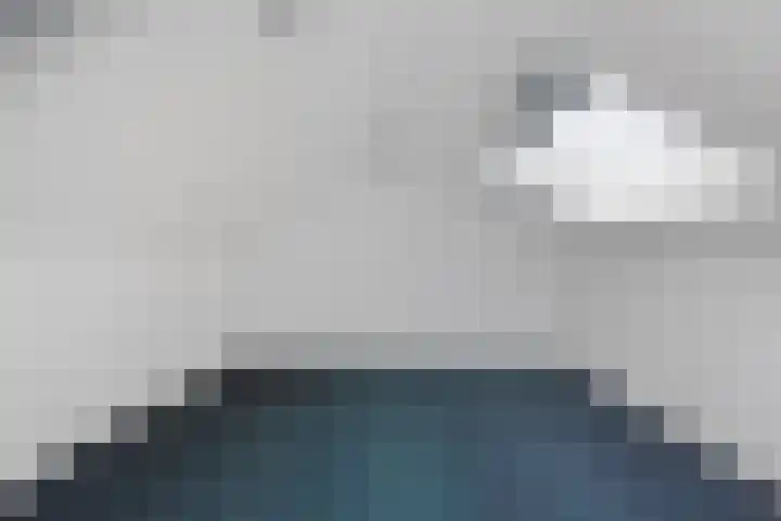 Nagelkruid 4 Amersfoort thumbnail 23