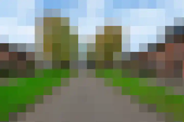 Nagelkruid 4 Amersfoort thumbnail 25
